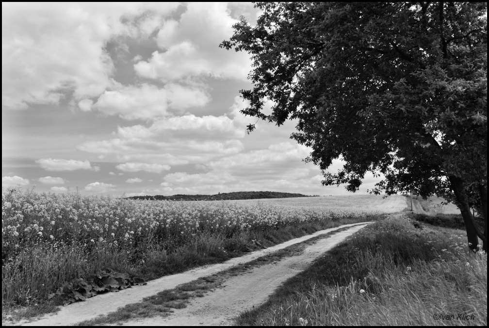 Krajina nad Sázavou