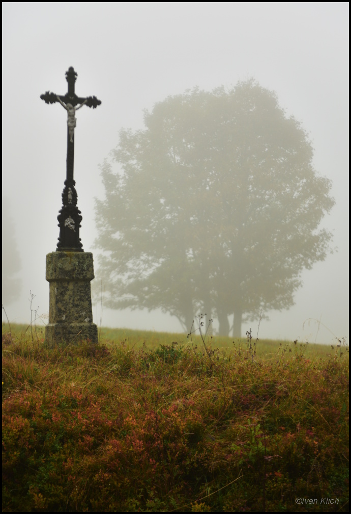 Kříž a strom