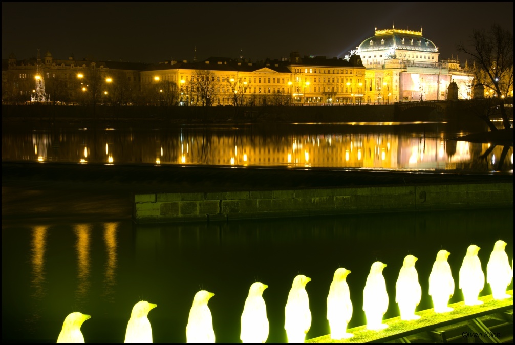 Národní divadlo a tučňáci