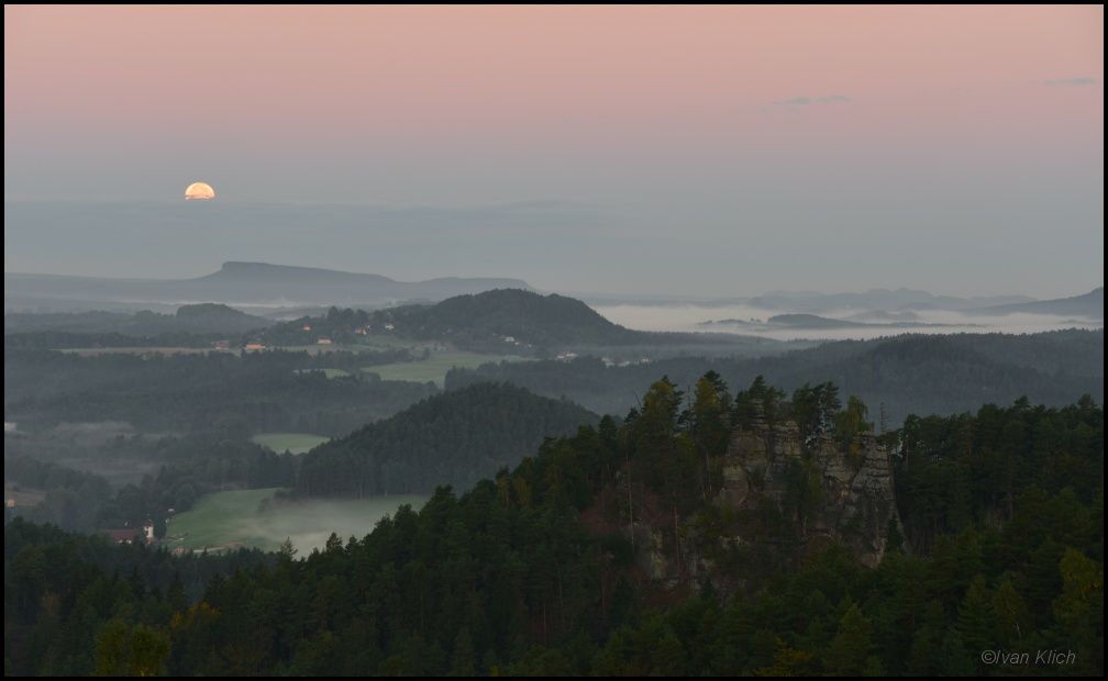 Rynartice