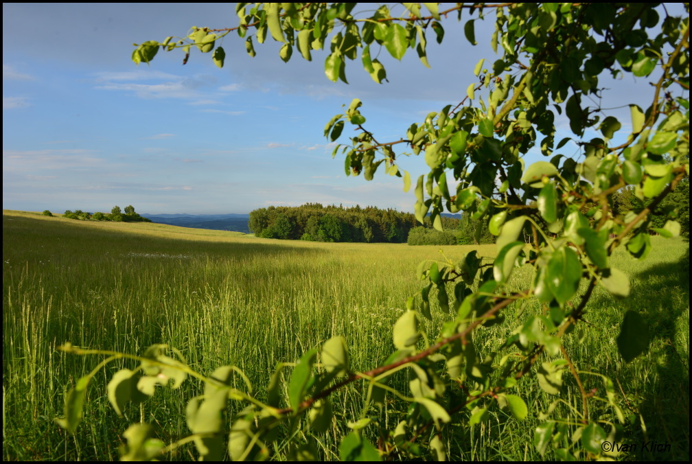 Solenická/Vltavská podkova