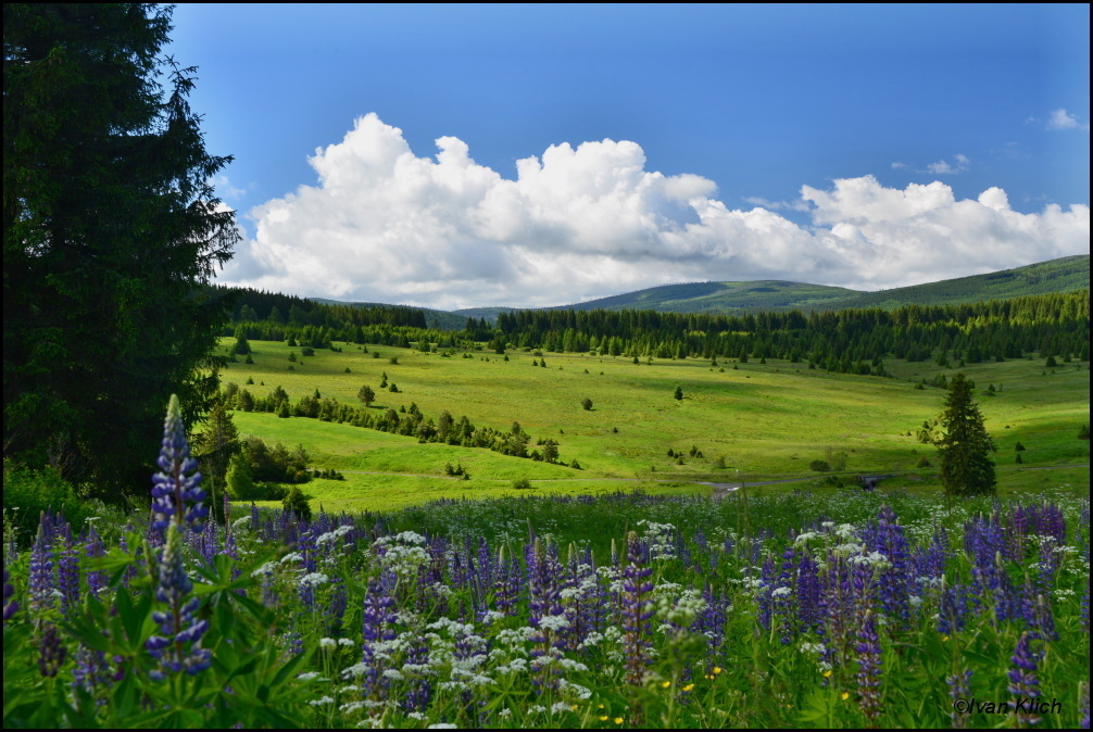Šumava 1
