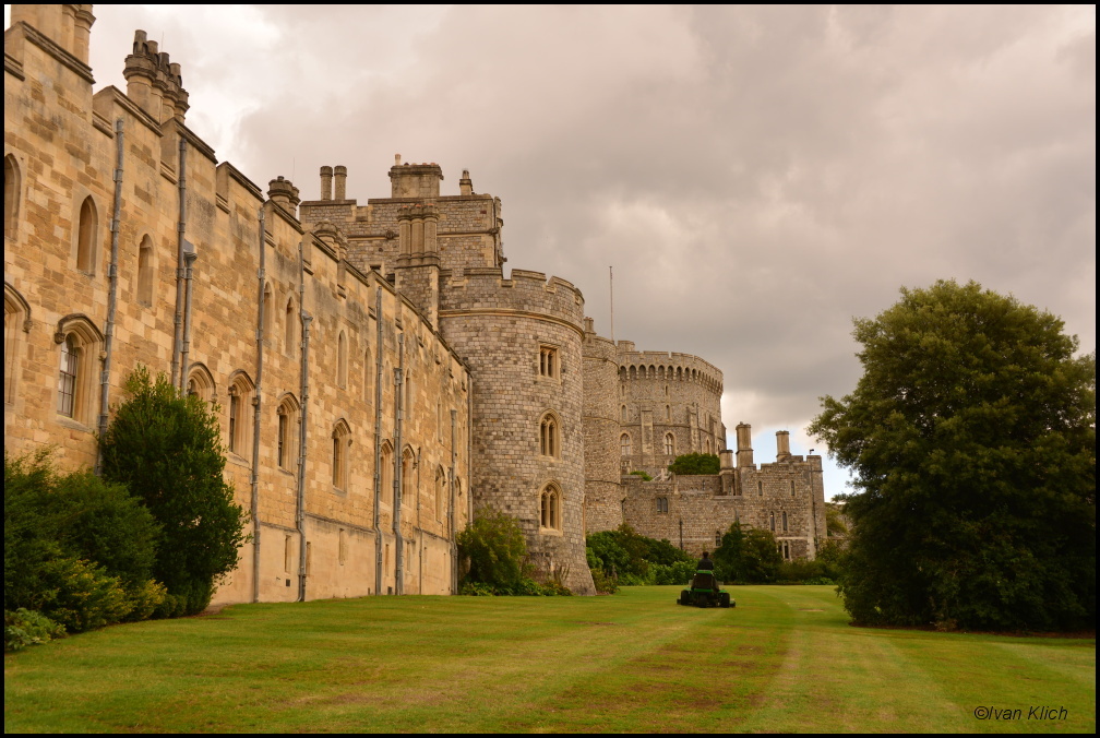 Windsor 8